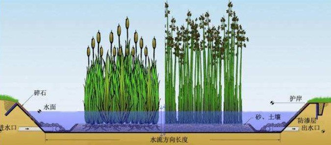 潛流人工濕地填料分類